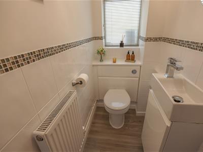 Picture 12